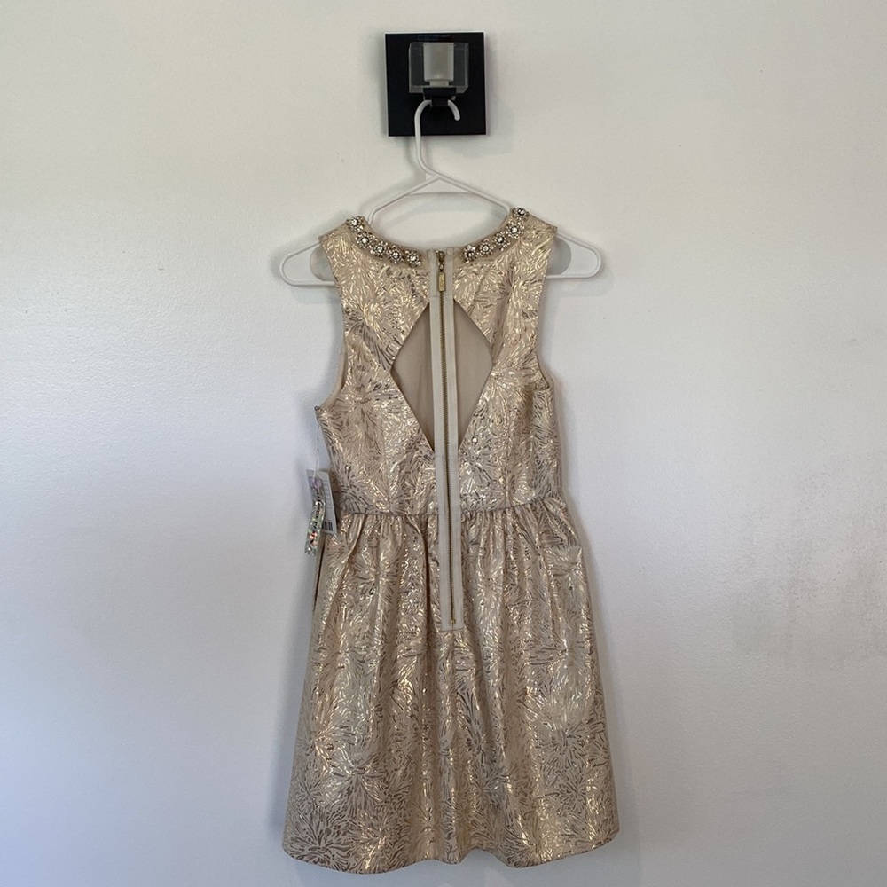 NWT Cooperative Urban Outfitters Cream & Gold Cutout Back Skater Dress